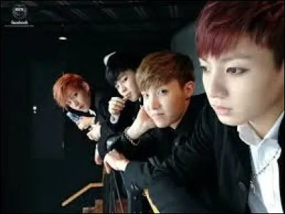 Qu'est un "maknae" ?