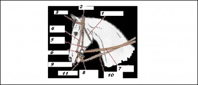 Comment se nomme la partie 4 ?