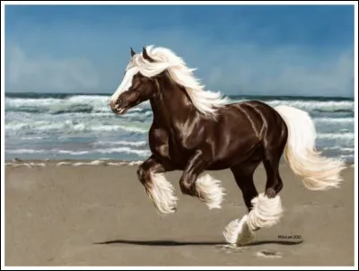 Pourquoi faut-il panser le cheval ?