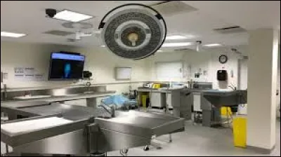 Que faut-il ajouter à "auto" pour obtenir le nom de l'examen pratiqué sur un cadavre ?