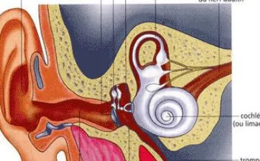 Quiz Physique