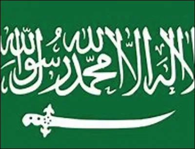 Quelle ville n'est pas au Qatar ?