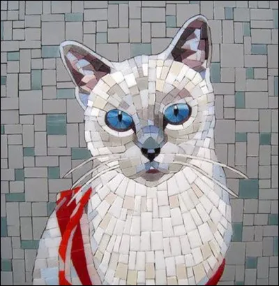 Quels sont les noms des deux chats siamois que l'on rencontre dans "La Belle et le Clochard" ?