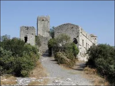 Pour finir, je vous propose de partir à la découverte du château de Tornac. Commune occitane, dans l'agglomération d'Alès, elle se situe dans le département ...