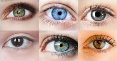 De quelle couleur sont tes yeux ?