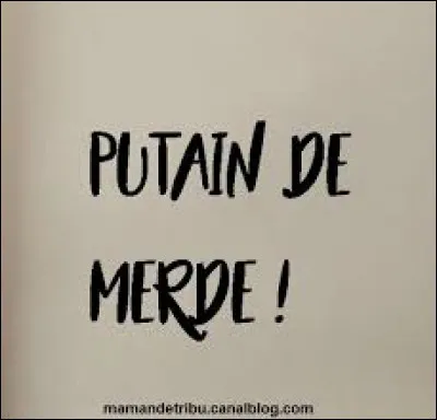 Qui chante " Putain de merde" ?