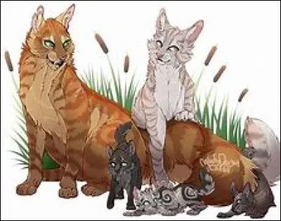 Si tu as des petits, comment les considères-tu ?