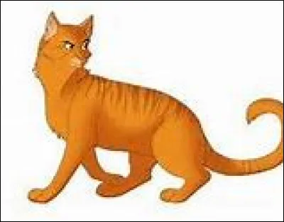 Tu deviens lieutenant. Quelle est ta reaction ?