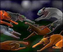 Quiz La guerre des clans