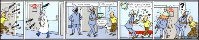 Encore une fois, voici un bien singulier établissement dans lequel se retrouve Tintin : de quel genre, exactement ? Et quel est son numéro de "chambre" ? (Cases 2 et 5)
