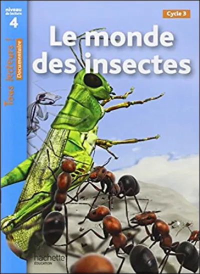 Faites une piqure de rappel et trouvez parmi les quatre l'insecte qui usurpe sa place !