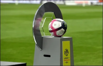 Qui est le meilleur buteur de l'histoire de la Ligue 1 ?