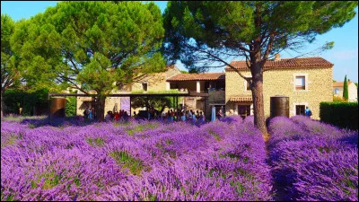Dans quel département se trouve la ville de Vaison-la-Romaine ?