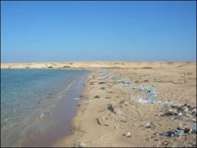 Ton/Ta collègue te parle de ses vacances interminables. Que fais-tu ?