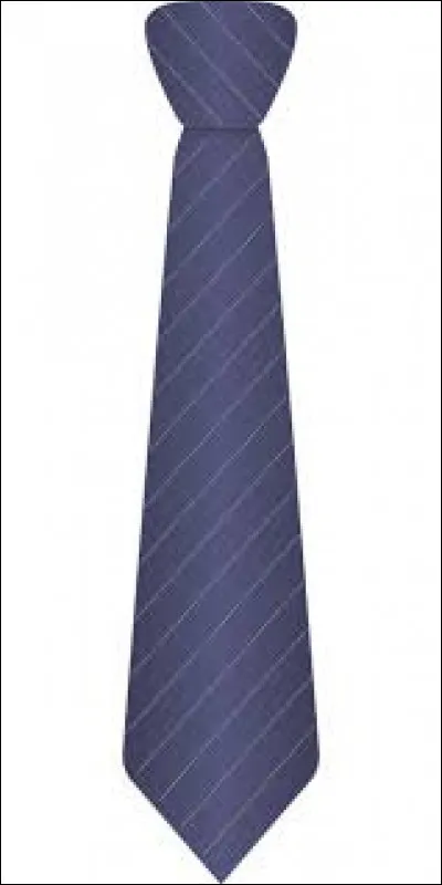 Que veux-tu dans ta vie professionnelle ?