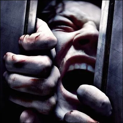 Lequel de ces films d'horreur fait partie du sous-genre appel&eacute; slasher ?