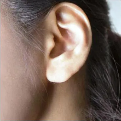 Quelle partie du corps est reli&eacute;e au tympan par la trompe d'Eustache ?