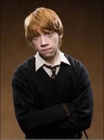 Après ses études, quel métier exerce Ron Weasley ?