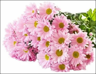 Comment s'appelle-t-elle ?