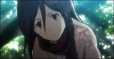 Mikasa est une Ackerman. Vrai ou faux ?