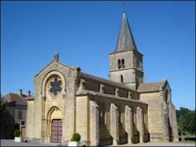 Saint-Vincent-Bragny est une commune Saône-et-Loirienne située en région ...