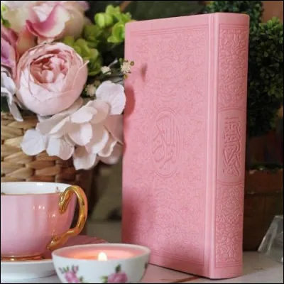 D'apr&egrave;s Michel Audiard, quand on mettra mon 1er sur orbite, t'as pas fini de tourner Mon 2e est un insecte qui ressemble &agrave; une grosse mouche, mais piqueMon 3e se met &agrave; tableMon 4e est une ville du Valais, mais d&eacute;signait aussi J&eacute;rusalem Mon tout est un roman de :