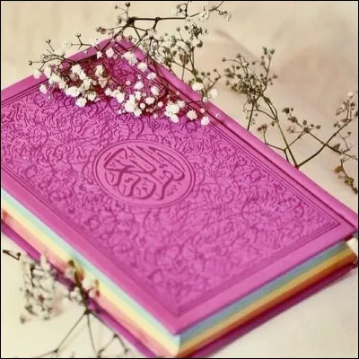 Mon 1er n'est pas t&ocirc;tMon 2e est un sacr&eacute; nezMon 3e est de ton esp&egrave;ceFrancis weber a fait un d&icirc;ner avec mon 4eMon tout est un roman de :