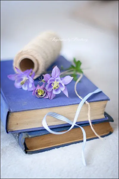 Mon 1er est un bout de cochon, bien grasMon 2e sert &agrave; couperMon 3e doit battre pour faire vivreMon tout est un roman de :