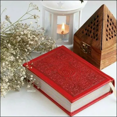 Mon 1er peut-&ecirc;tre &agrave; &Eacute;liseMon 2e est un magazine f&eacute;mininMon 3e flaire toutMon 4e est un balai, quand il donne lieu &agrave; une bougie suppl&eacute;mentaire sur le g&acirc;teauMon tout est un roman de :