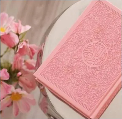 Mon 1er est un vieux loupMon 2e est un poisson, quand il n'est pas de de LisleMon 3e est un vieux loupMon 4e attacheMon 5e est du cin&eacute;ma s'il est septi&egrave;meMon tout est un roman de :