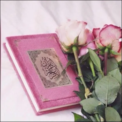 Mon 1er est un vieux loupMon 2e est super comp&eacute;tentMon 3e conna&icirc;tMon tout est un roman de :