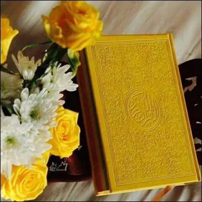 Mon 1er n'est pas largeMon 2e est la pr&eacute;fecture de la MoselleMon 3e n'est pas hauteMon tout est un roman de :