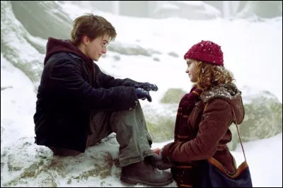 Quel est ce couple fictif ?