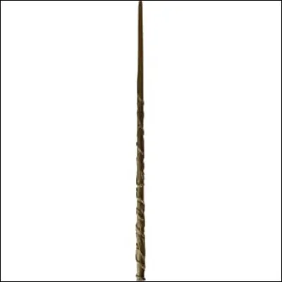 À qui appartient cette baguette magique ?