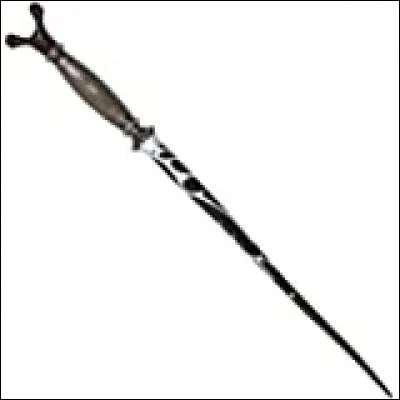 À qui appartient cette baguette magique ?