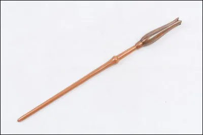 À qui appartient cette baguette magique ?