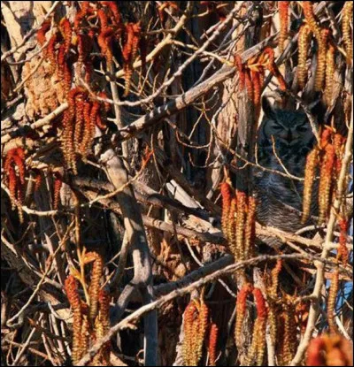 Il est sur la photo, qui est-il ?