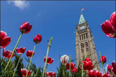 Quelle est la monnaie du pays ?