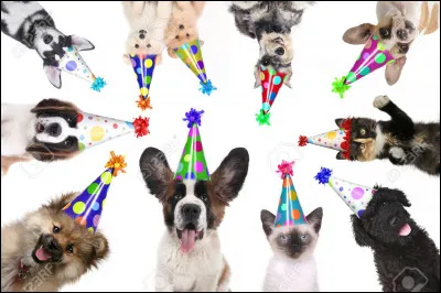 Quel est ton animal-totem ?