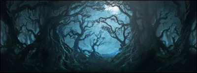 Avec qui Harry Potter n'est-il pas allé pour la première fois dans la Forêt Interdite ?