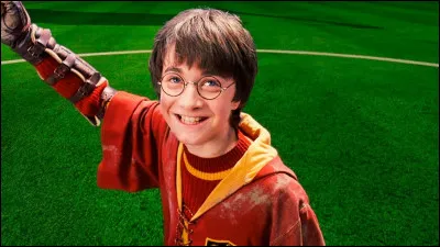 Qui n'a pas été un attrapeur au quidditch ?