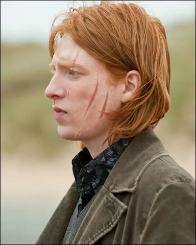 Avec qui Bill Weasley se marie-t-il ?