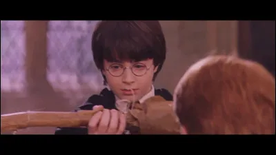 Qui a offert l'Éclair de Feu à Harry Potter ?
