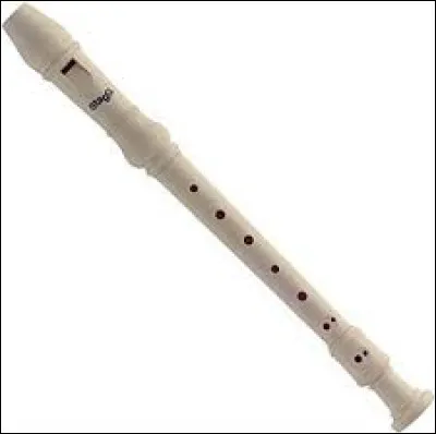 L'instrument sur cette photo est-il une flûte traversière ?