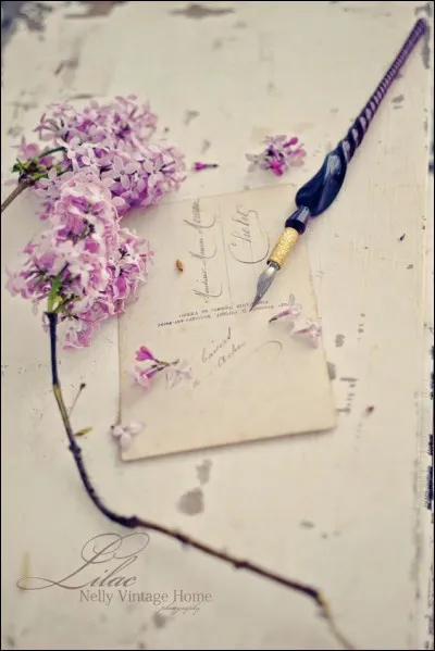 Mon 1er est un article
Mon 2e n'est pas beaucoup
Mon 3e est un mec
Mon 4e se fait après lavage
Mon tout est un roman de :