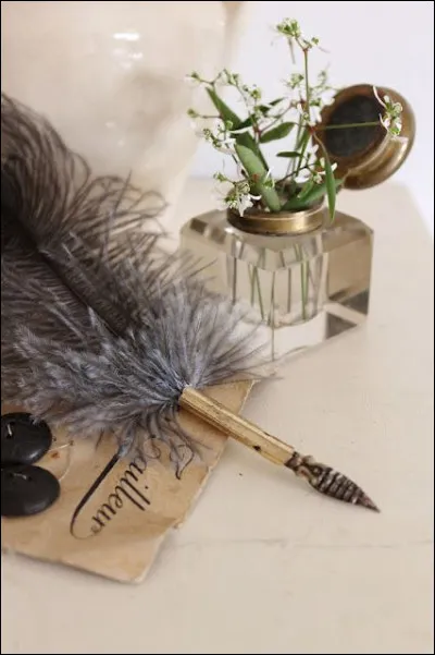 Mon 1er est moche
Mon 2e est un souhait
Mon 3e sert à couvrir
Mon 4e peut être fleurie et vous sépare du voisin
Ne loupez pas mon 5e, c'est un coup à se casser la figure !
Mon tout est un roman de :