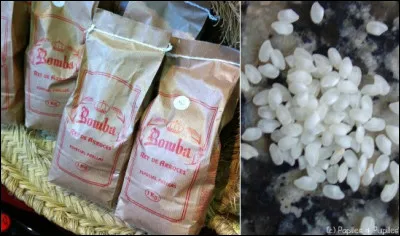 Quelle est la particularité du riz paddy ? À ne surtout pas utiliser pour la paella...