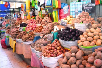 C'est le pays de la pomme de terre, c'est de là qu'elle tire son origine !