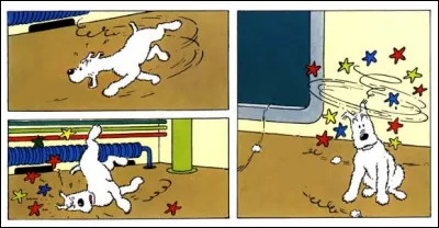 Milou en personne, en bon chien de chasse, peut en voir de 36 couleurs : quel animal le met dans cet état ?