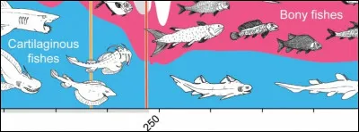 Les strapps de Sibérie font référence à l'extinction de masse du Permien-Trias, il y a 250 millions d'années. Quelle en est la cause probable ?
